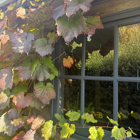 Elm Cottage Barn Oatlands Екстериор снимка