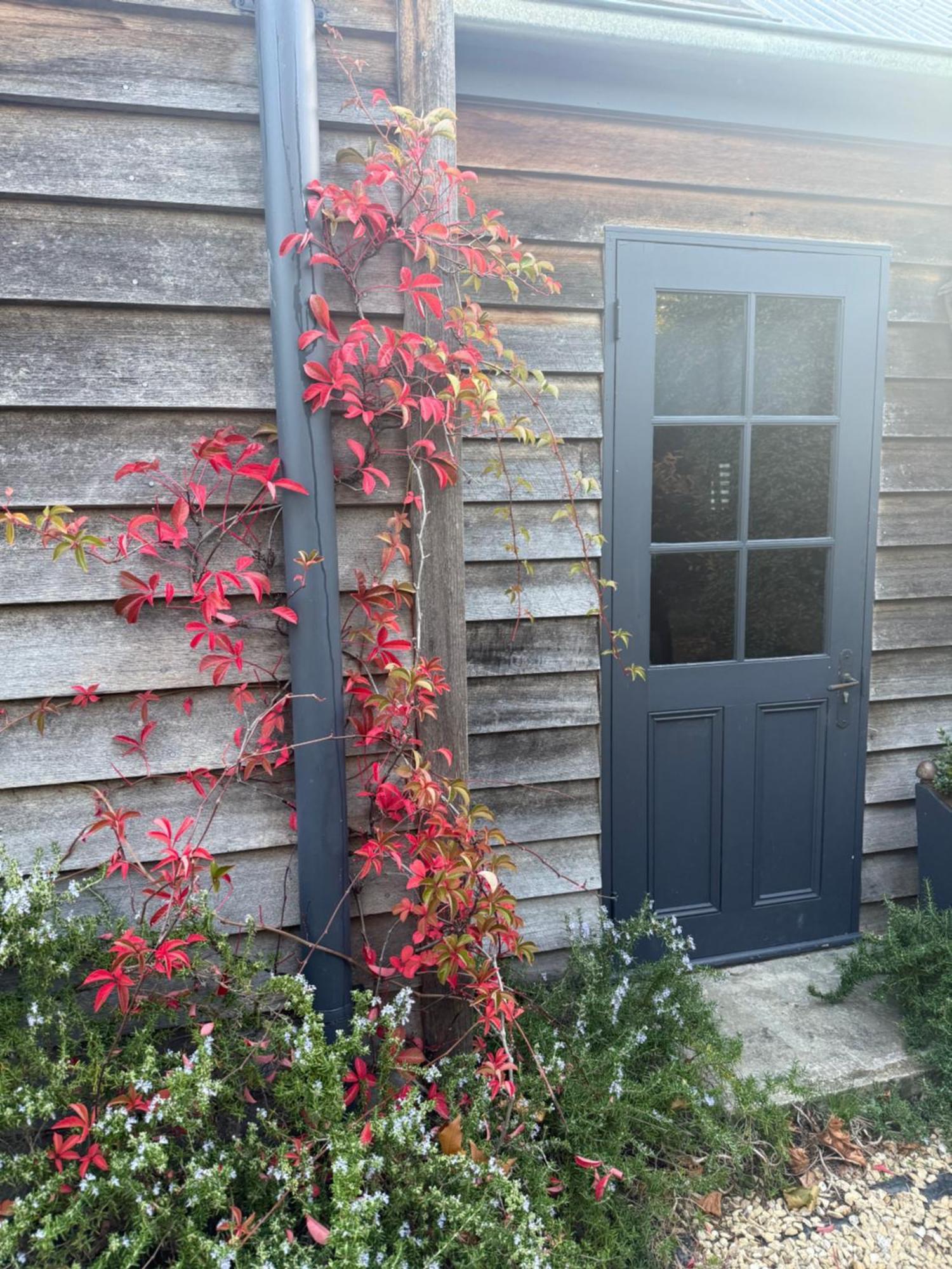 Elm Cottage Barn Oatlands Екстериор снимка