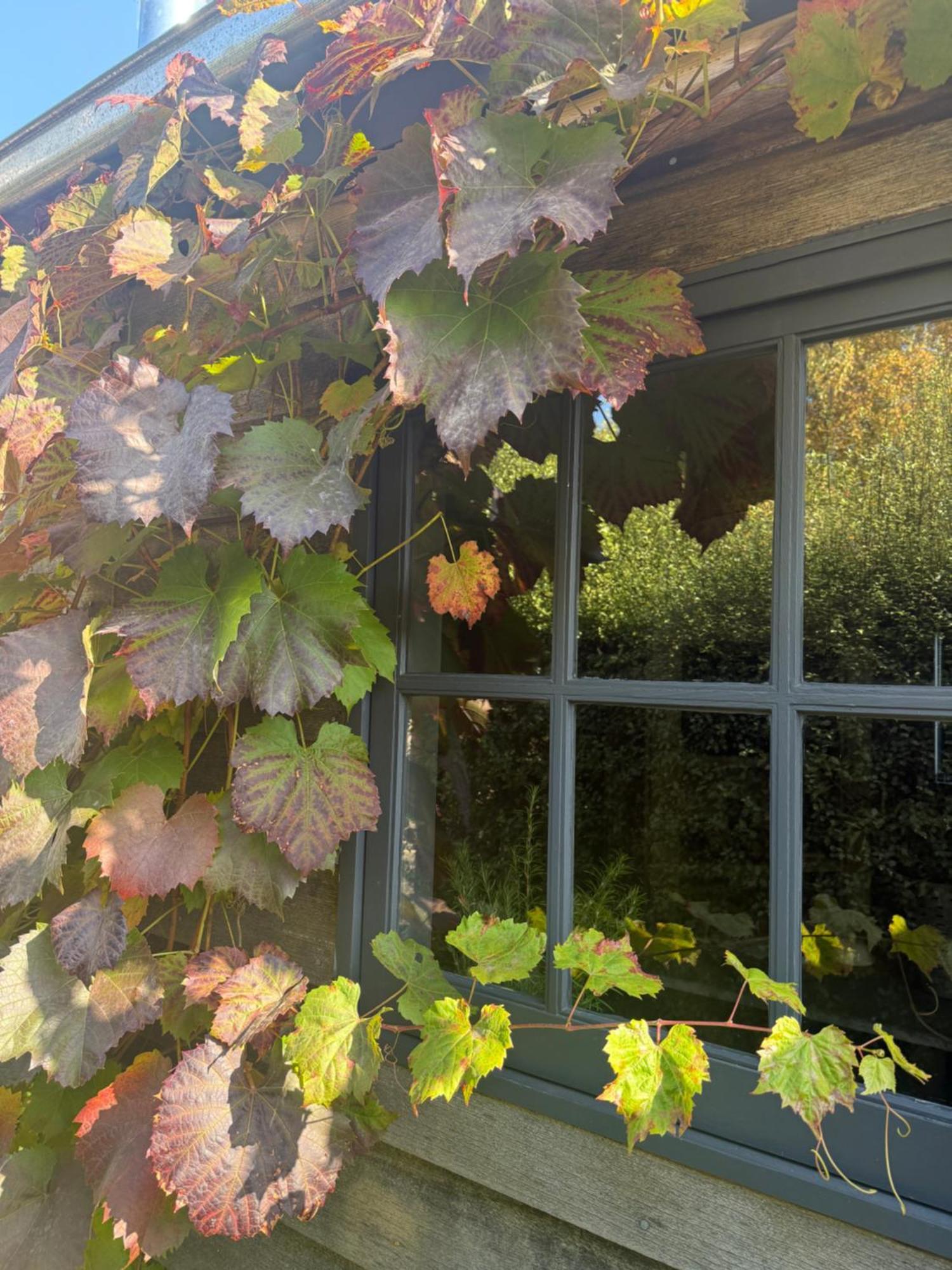 Elm Cottage Barn Oatlands Екстериор снимка
